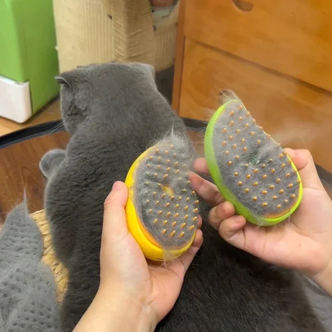 Cat  Steamy Brush